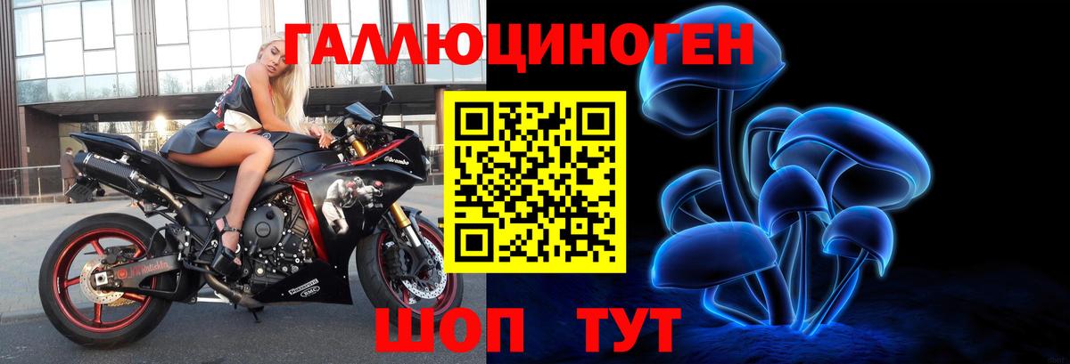 купить наркотики цена  Вход с VPN  Галлюциногенные грибы ЛСД  Красный Сулин  Галлюциногенные грибы мухоморы 
